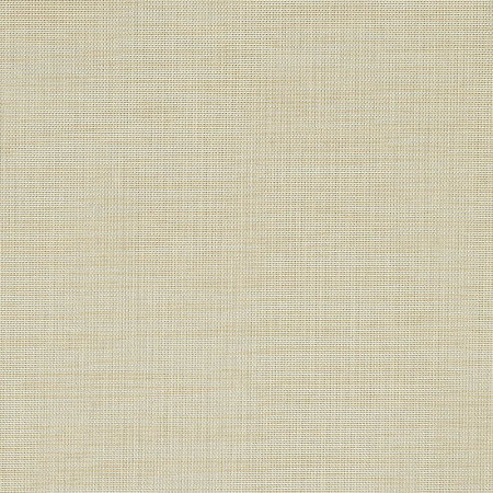 Augustine Pebble 5928-0031