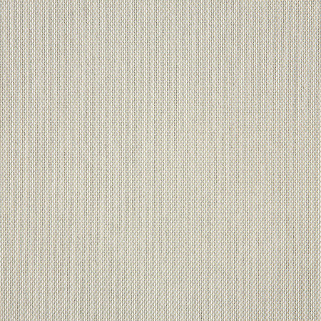 Augustine Oyster 5928-0045