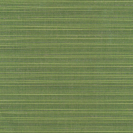 Dupione Palm 8052-0000