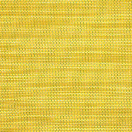 Echo Citron 8079-0000