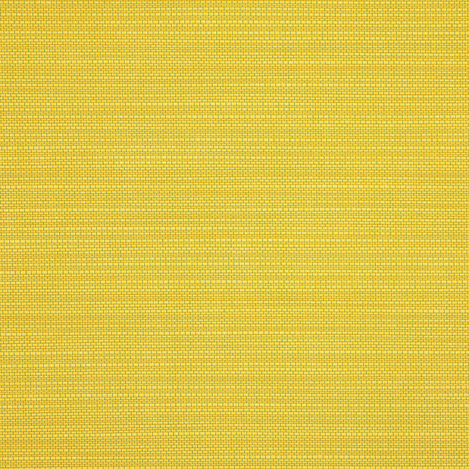 Echo Citron 8079-0000 Vista más amplia