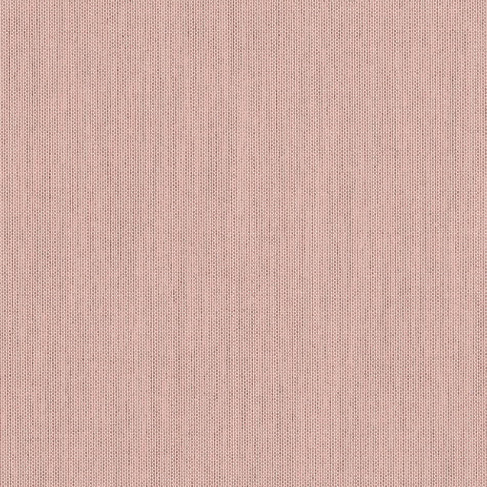 Canvas Blush SJA 3965 137 Xem hình lớn