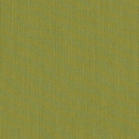 Canvas Lichen SJA 3970 137