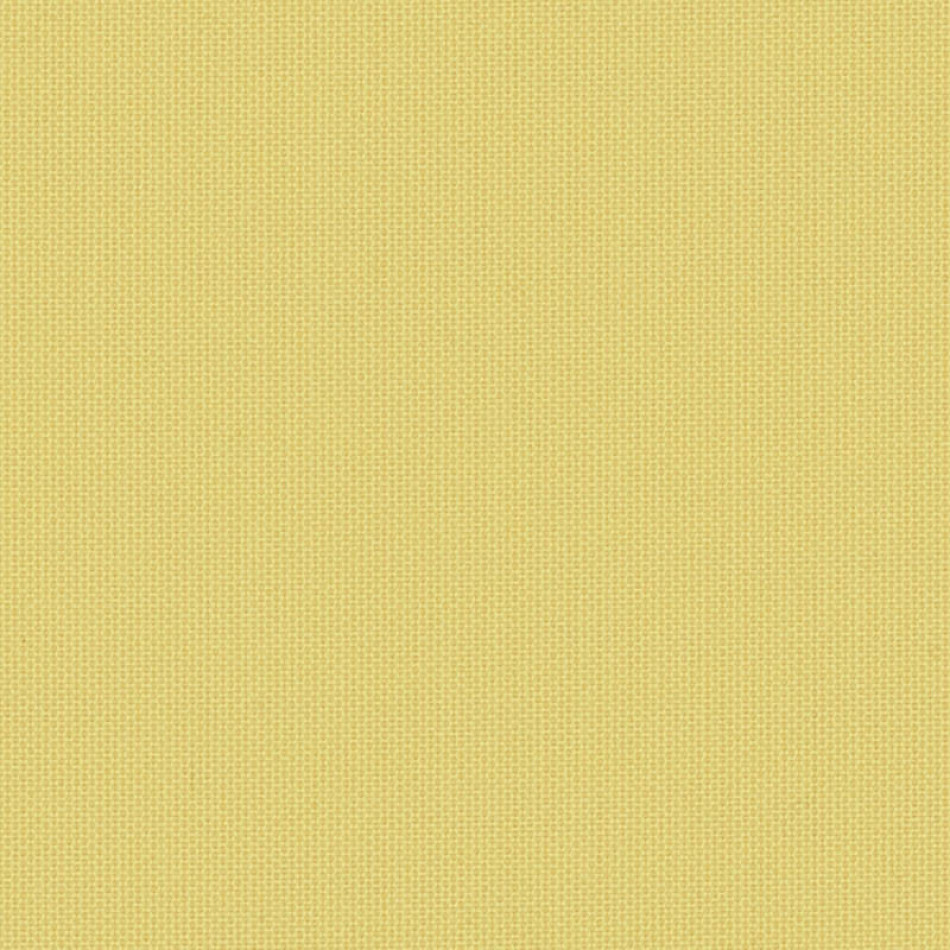 Canvas Canary SJA 3984 137 大图	