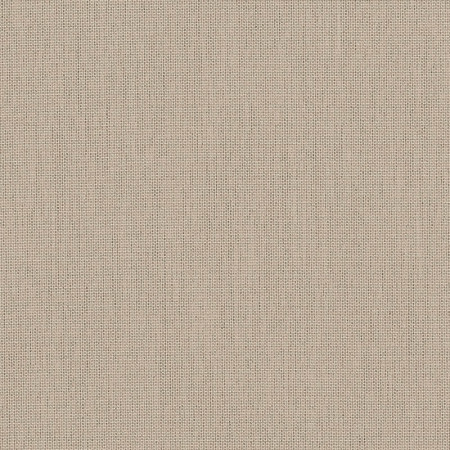 Canvas Papyrus SJA P055 137