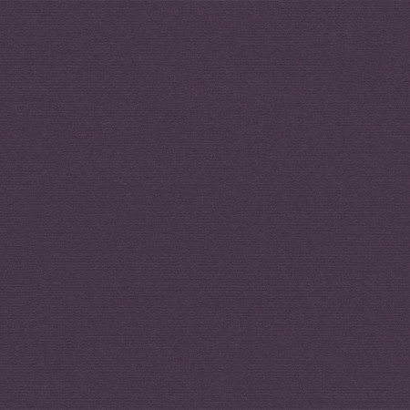 Amethyst SUNB P019 152