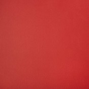 Capriccio Logo Red 10200-0016 Palette de coloris