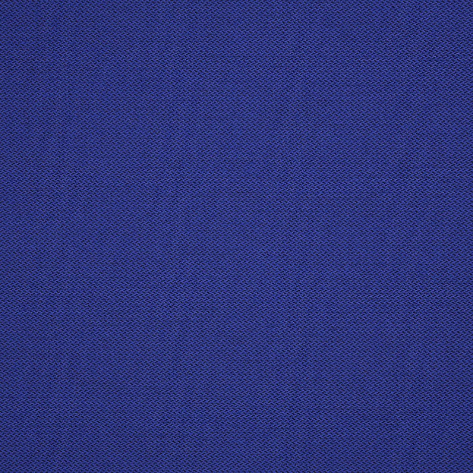 Fiji Blueberry 62378 大图	