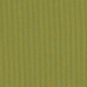 Canvas Lichen SJA 3970 137 กลุ่มสี