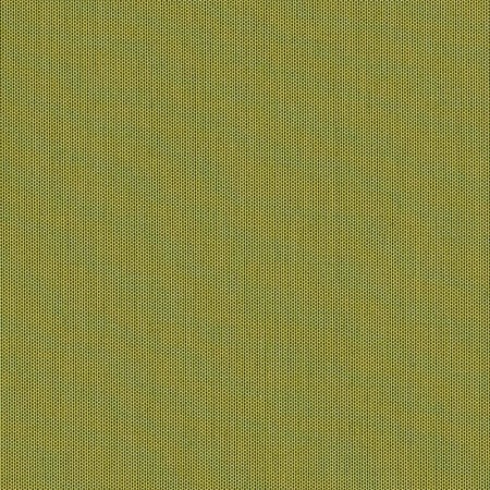 Canvas Lichen SJA 3970 137
