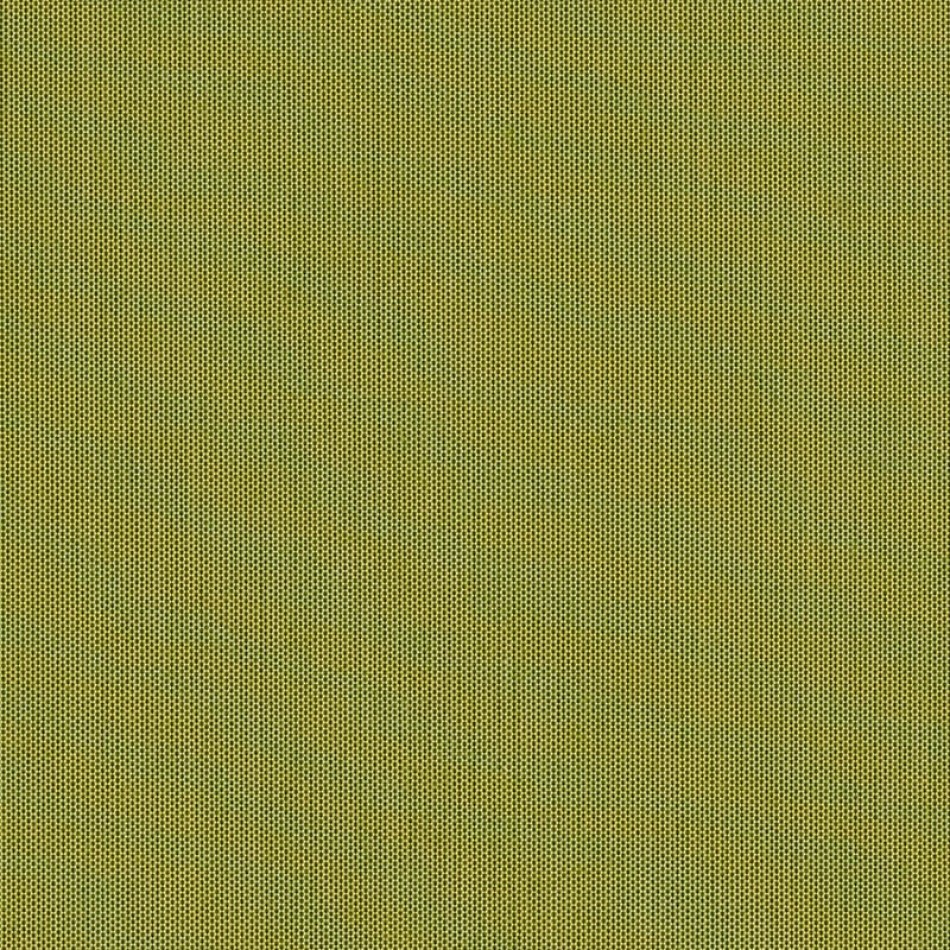 Canvas Lichen SJA 3970 137 Vista más amplia