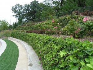 WWF Vegetated Kroc Center 1 GR MI