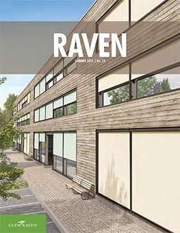 Raven - Issue 24