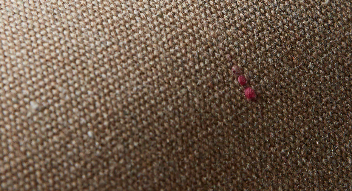 Vue détaillée d’un tissu Sunbrella Renaissance, montrant les mouchetures colorées occasionnelles, qui constituent une partie naturelle du contenu des fibres recyclées.